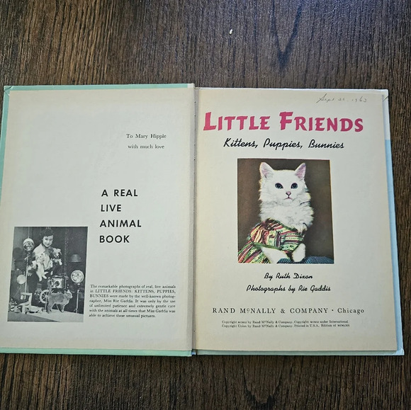 Little Friends Kittens Puppies Bunnies Rand McNally by Ruth Dicon Vintage 1951 - Picture 2 of 6